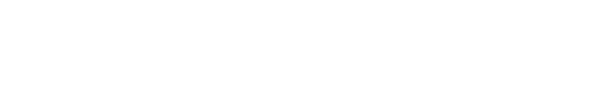 Transfer4You – Keleivių pervežimas Lietuvoje ir užsienyje, oro uostai